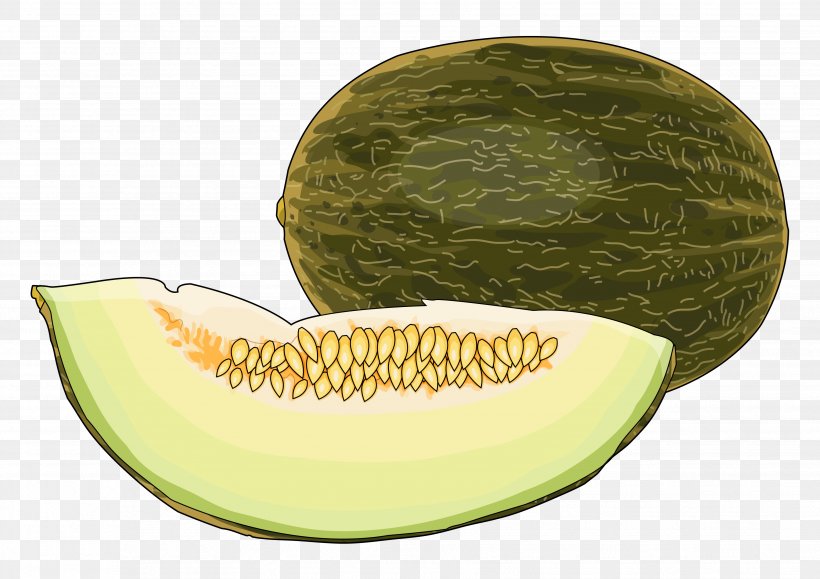 Honeydew Cantaloupe Watermelon Quince Cheese Technology, PNG, 3508x2480px, Honeydew, Area, Cantaloupe, Communicatiemiddel, Cucumber Gourd And Melon Family Download Free
