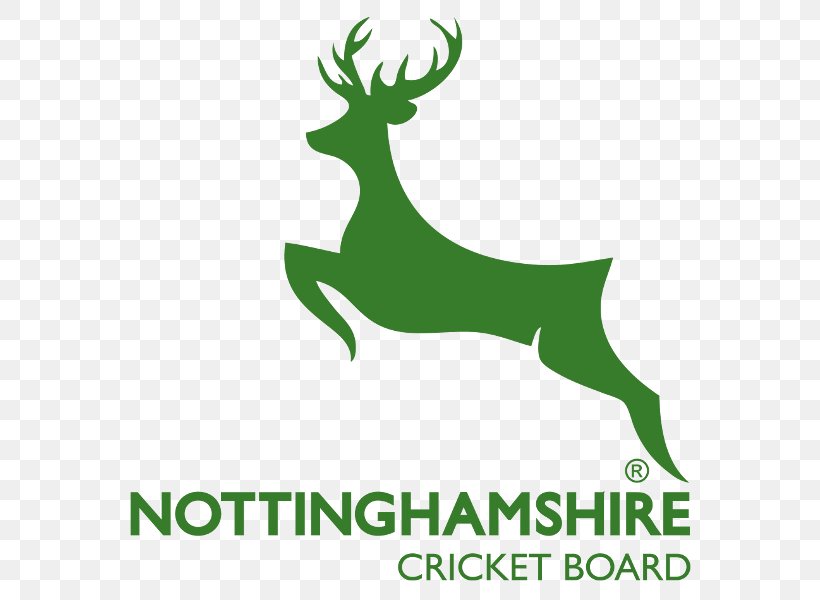 Nottinghamshire County Cricket Club County Championship Hampshire County Cricket Club Twenty20 Cup 2017 NatWest T20 Blast, PNG, 600x600px, Nottinghamshire County Cricket Club, Antler, Brand, County Championship, County Cricket Download Free