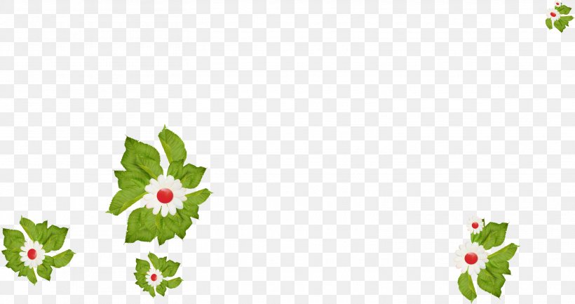 Shortcake Desktop Wallpaper Fruit Wallpaper, PNG, 3125x1651px, Shortcake, Annual Plant, Aquifoliaceae, Auglis, Branch Download Free