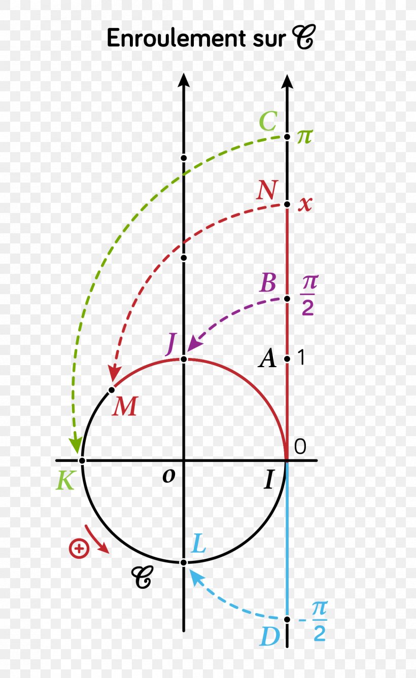 Line Angle Cercle Trigonométrique Trigonometry Point, PNG, 1262x2059px, Trigonometry, Area, Diagram, Extended Real Number Line, Number Line Download Free
