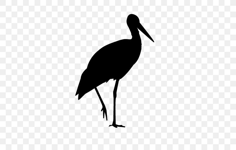 White Stork Water Bird Beak Neck, PNG, 600x520px, White Stork, Beak, Bird, Black Stork, Ciconiiformes Download Free