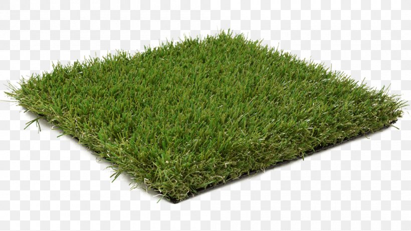 Artificial Turf Lawn Garden Thatch Carpet, PNG, 1000x563px, Artificial Turf, Building, Building Materials, Carpet, Color Download Free