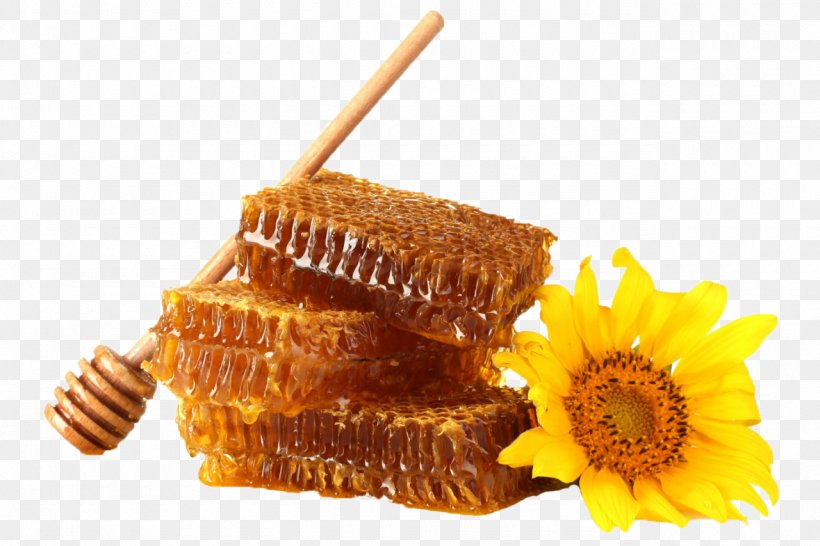 Bee Common Sunflower Honeycomb Desktop Wallpaper, PNG, 1280x853px, Bee, Beekeeping, Common Sunflower, Food, Fruit Preserves Download Free