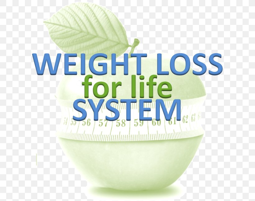 Company Weight Loss Nutrition Nervous System, PNG, 750x646px, Company, Brand, Child, Diet, Digital Agency Download Free