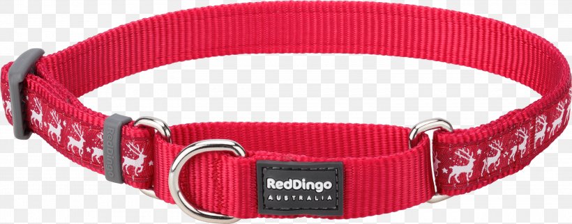 Dog Collar Buckle Dingo, PNG, 3000x1180px, Dog, Belt Buckle, Belt Buckles, Buckle, Collar Download Free