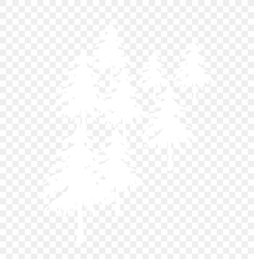 White Black Angle Pattern, PNG, 1055x1078px, White, Area, Black, Black And White, Monochrome Download Free