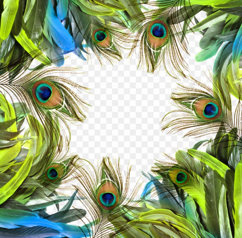 Asiatic Peafowl Feather Bird Raster Graphics, PNG, 1000x986px, Asiatic Peafowl, Art, Bird, Dreamcatcher, Feather Download Free
