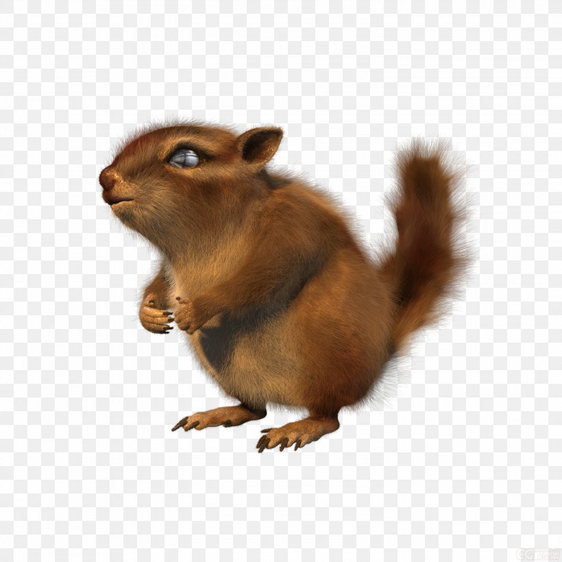 Chipmunk Fox Squirrel Animation, PNG, 3000x3000px, Chipmunk, Animation, Architecture, Computer Graphics, Eastern Chipmunk Download Free