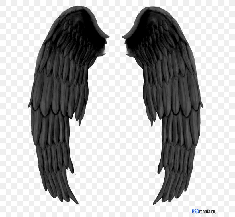 Devil, PNG, 700x757px, Devil, Angel, Beak, Bird Of Prey, Black And White Download Free