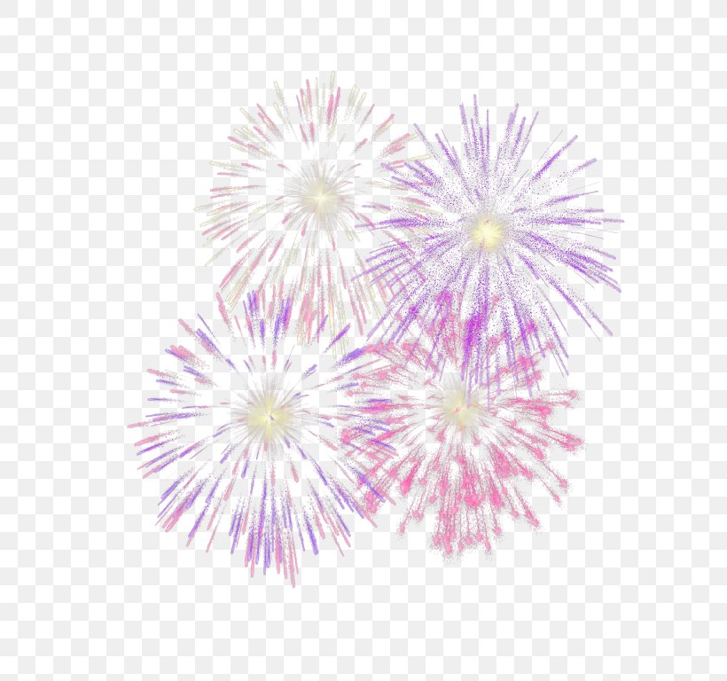 Fireworks Firecracker Image Color, PNG, 600x768px, Fireworks, Adobe Fireworks, Art, Chrysanths, Color Download Free