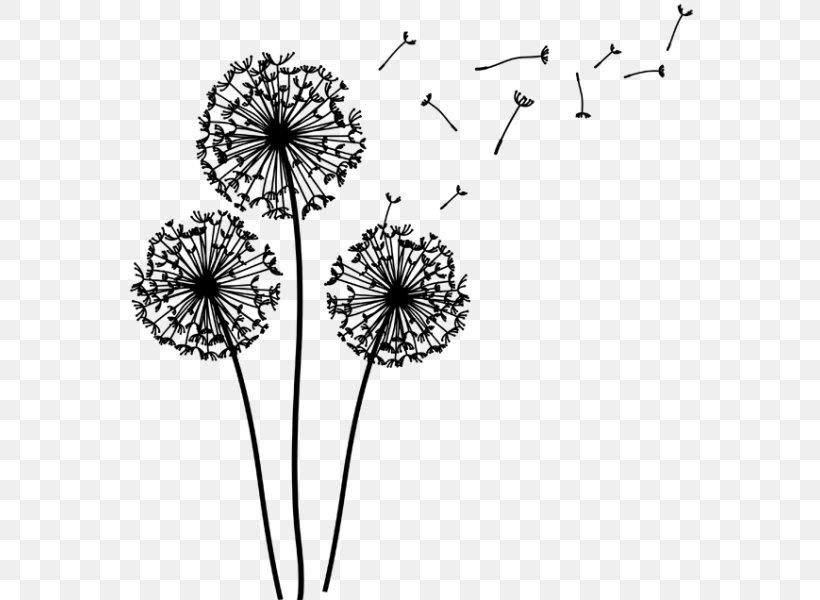 Pissenlit Sticker Flower Common Dandelion Drawing, PNG, 600x600px, Pissenlit, Black And White, Blue, Common Dandelion, Cut Flowers Download Free