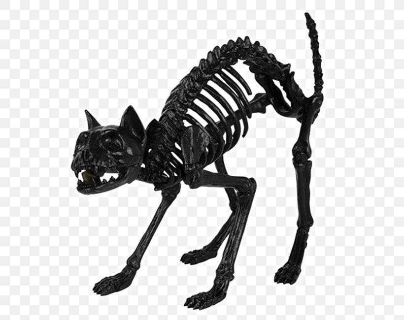 Skull Skeleton Bone Spirit Halloween Cat, PNG, 650x650px, Skull, Animal Figure, Big Cat, Black And White, Bone Download Free