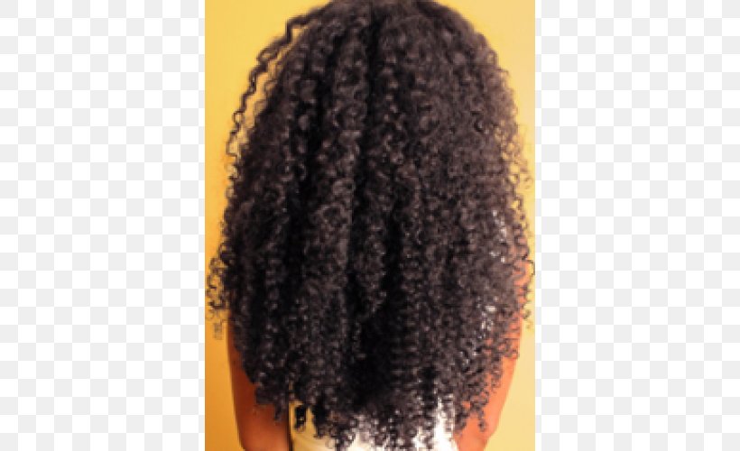 Wig Jheri Curl Long Hair Afro, PNG, 500x500px, Wig, Afro, Braid, Hair, Jheri Curl Download Free
