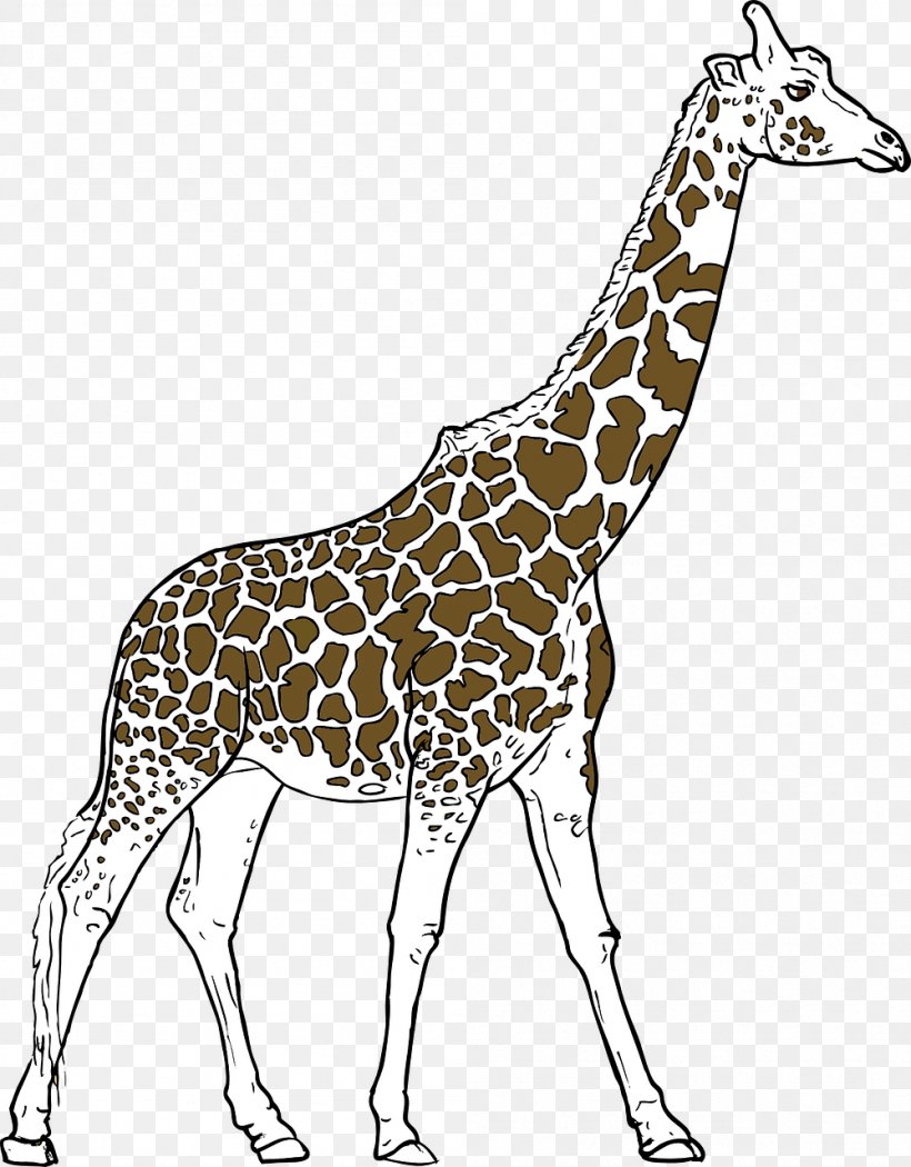 Youre Avin A Giraffe Drawing Clip Art, PNG, 999x1280px, Giraffe, Art, Black And White, Drawing, Fauna Download Free