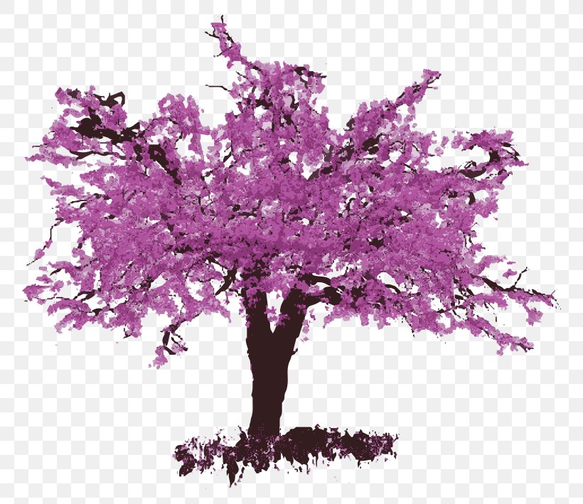 Eastern Redbud Flower Delivery Tree Common Grape Vine, PNG, 790x709px, Eastern Redbud, Blossom, Branch, Bud, Cherry Blossom Download Free