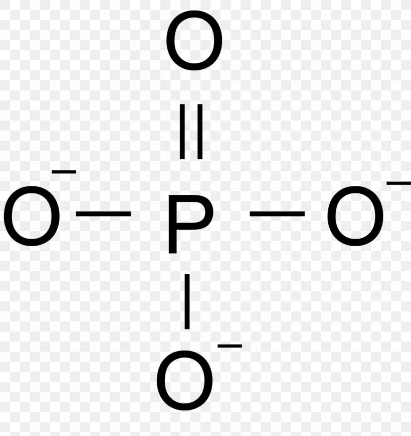 Grup Fosfat Phosphate Nucleic Acid Phosphoric Acid Nitrogenous Base, PNG, 1064x1127px, Grup Fosfat, Acid, Adenosine Triphosphate, Area, Base Download Free