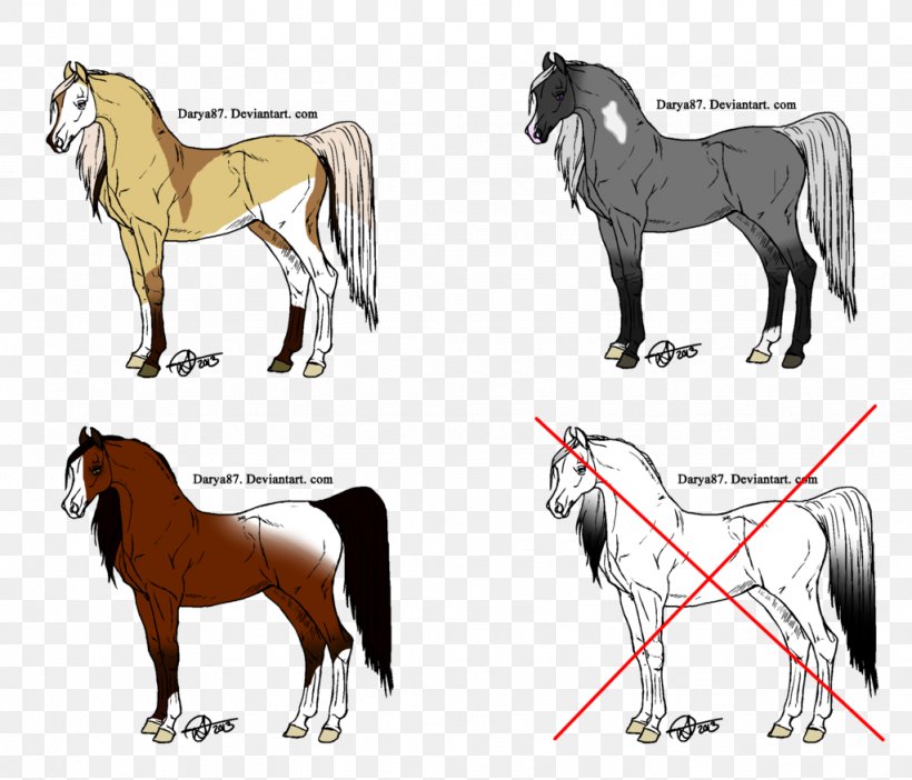 Mane Mustang Stallion Foal Colt, PNG, 1024x877px, Mane, Animal Figure, Bridle, Colt, Drawing Download Free