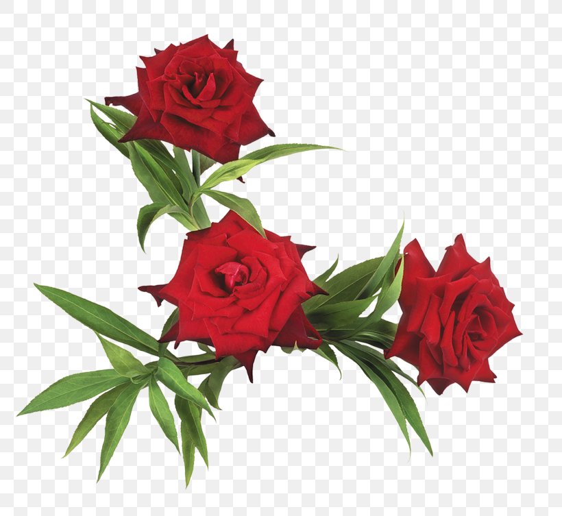 Flower Garden Roses Clip Art, PNG, 800x753px, Flower, Cut Flowers, Floral Design, Floristry, Flower Arranging Download Free