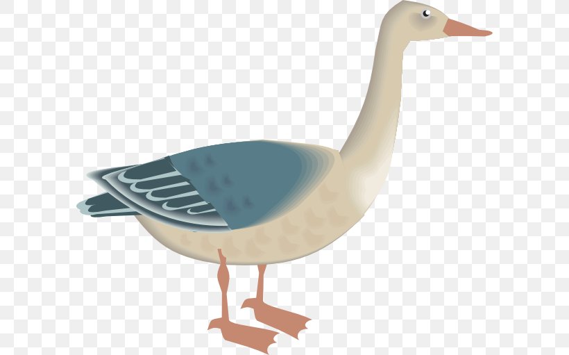 Goose Bird Clip Art, PNG, 600x511px, Goose, Beak, Bird, Duck, Ducks Geese And Swans Download Free