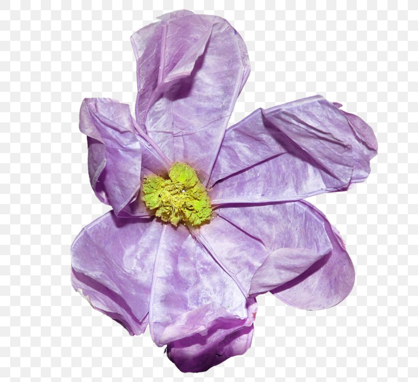 Petal Cut Flowers, PNG, 800x749px, Petal, Cut Flowers, Flower, Lilac, Purple Download Free