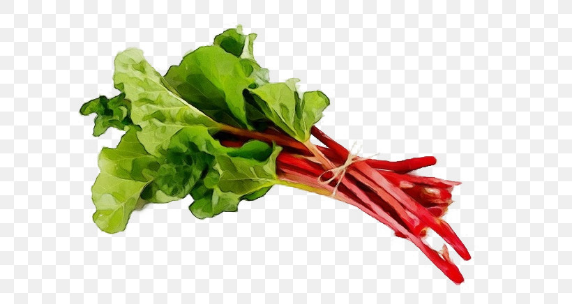 Salad, PNG, 653x436px, Watercolor, Chard, Garden Rhubarb, Paint, Salad Download Free