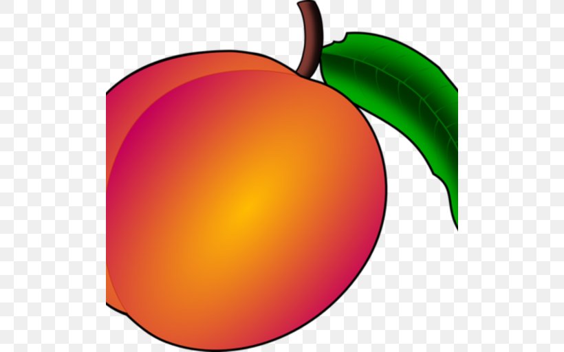 Apple Peach Apricot Fruit Clip Art, PNG, 512x512px, Apple, Apricot, Cherry, Cucurbita, Flowering Plant Download Free