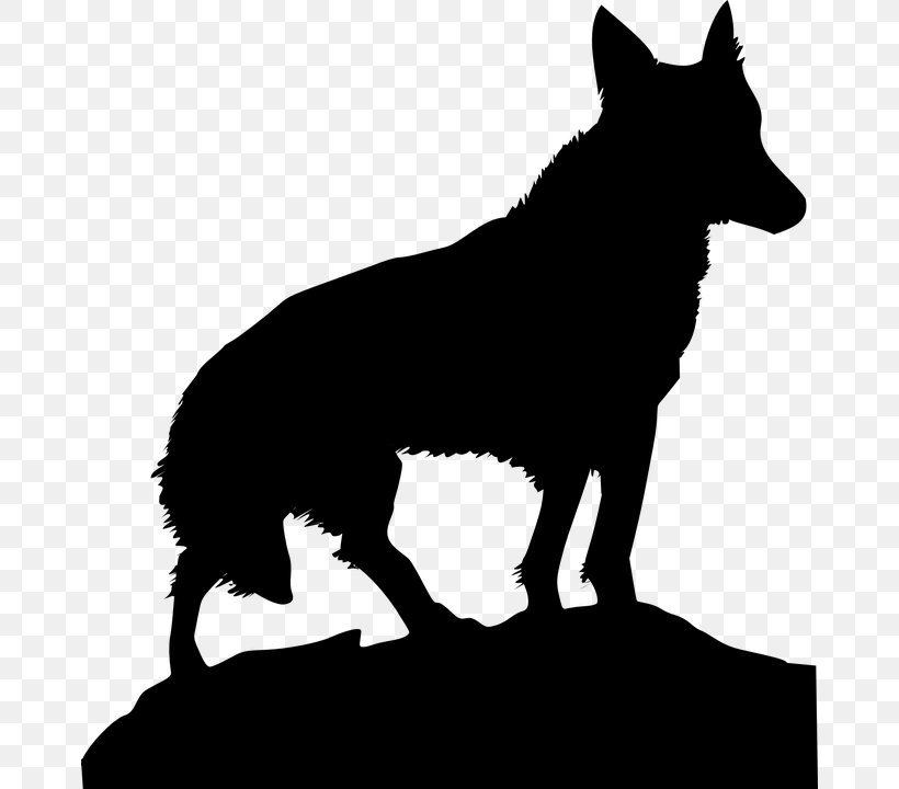 Dog Clip Art, PNG, 672x720px, Dog, Black, Black And White, Black Wolf, Carnivoran Download Free