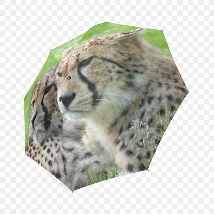 Leopard Cheetah Big Cat Whiskers, PNG, 1000x1000px, Leopard, Animal, Art, Big Cat, Big Cats Download Free