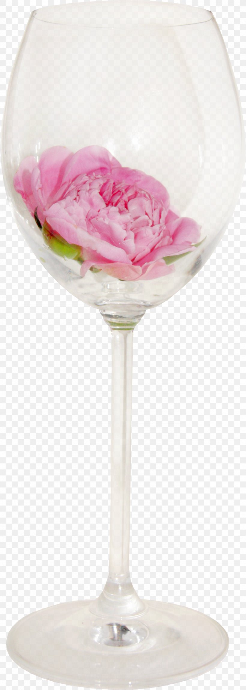 Pink Lady Martini Cocktail Glass Petal, PNG, 1387x3880px, Pink Lady, Champagne Stemware, Cocktail Glass, Drinkware, Glass Download Free