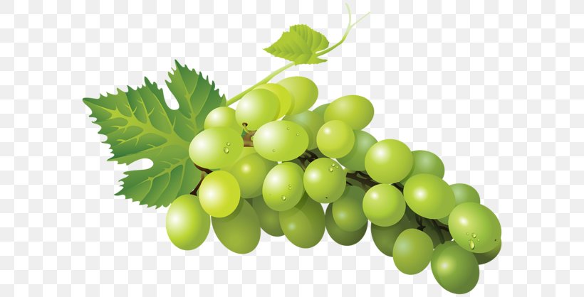 Sultana Grape Clip Art, PNG, 600x418px, Sultana, Art Museum, Food, Fruit, Grape Download Free