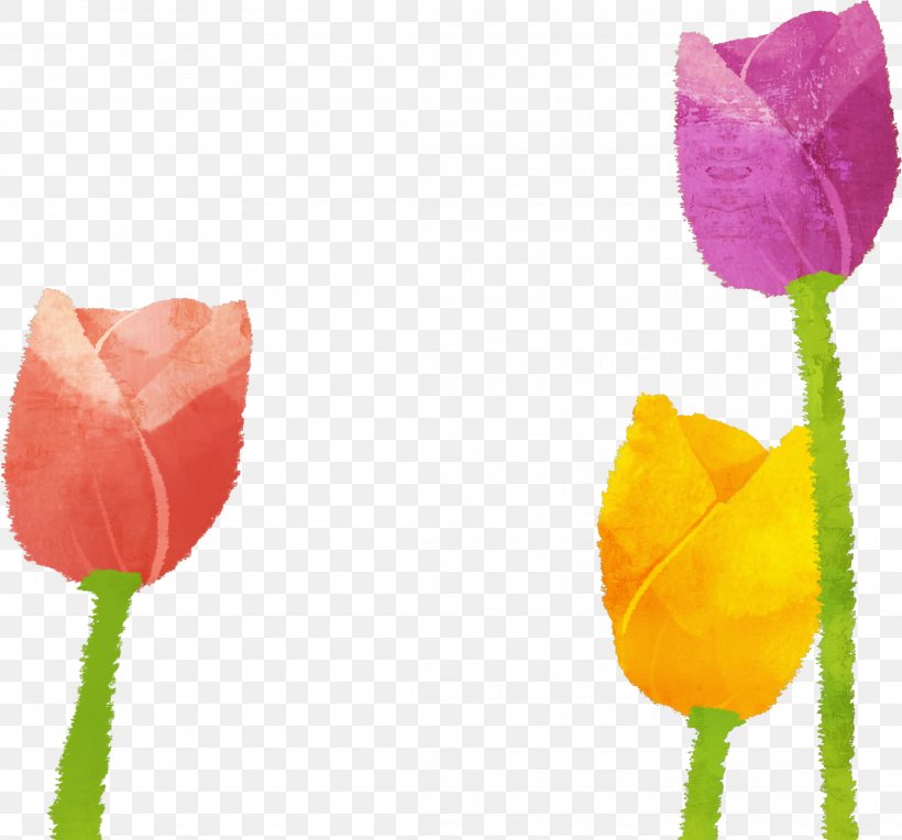 Tulip Illustration, PNG, 2203x2054px, Tulip, Art, Cartoon, Flower, Flowering Plant Download Free