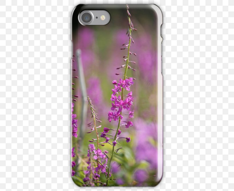 Wildflower, PNG, 500x667px, Wildflower, Flora, Flower, Lavender, Lilac Download Free