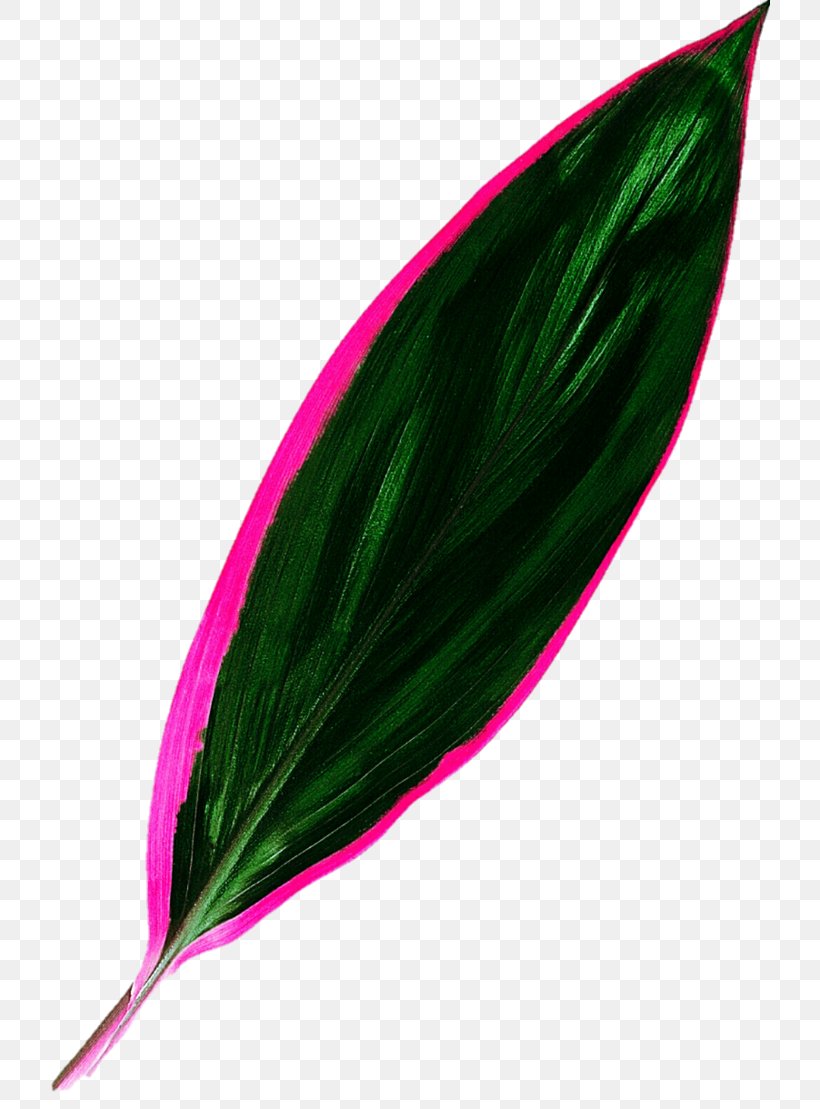 Leaf Tropics Green Clip Art, PNG, 721x1109px, Leaf, Blue, Coleus, Color, Green Download Free