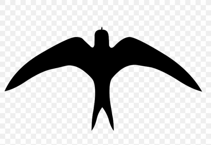 Swallow Bird Silhouette American Crow Clip Art, PNG, 1544x1062px, Swallow, American Crow, American Robin, Barn Swallow, Beak Download Free