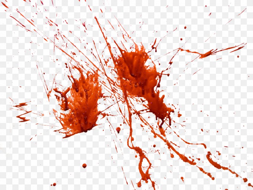 Blood Desktop Wallpaper Image Editing Clip Art, PNG, 1516x1144px, Blood, Blood Plasma, Close Up, Display Resolution, Editing Download Free