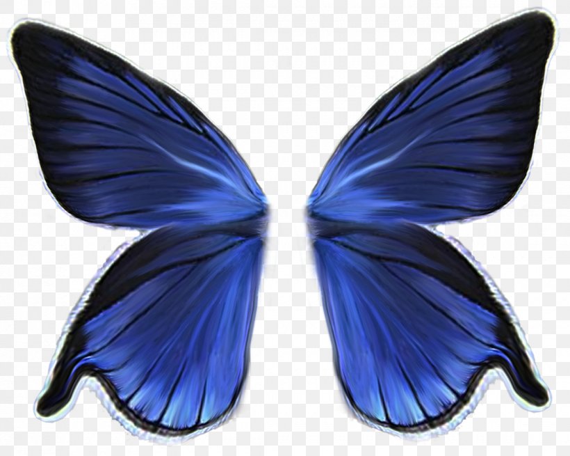 Butterfly Wing Download, PNG, 1120x895px, Butterfly, Blue, Cobalt Blue, Ink, Insect Download Free