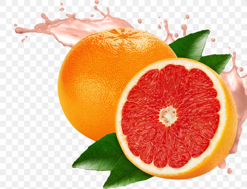Grapefruit Juice Grapefruit Juice Pomelo Lemon, PNG, 831x635px, Grapefruit, Apple, Artikel, Banana, Berry Download Free