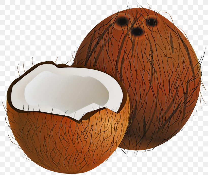 Pumpkin, PNG, 3000x2536px, Pumpkin, Coconut, Plant Download Free