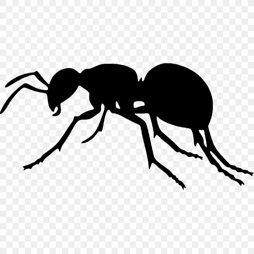The Ant Silhouette Insect Clip Art, PNG, 1000x1000px, Ant, Antz, Arthropod, Beetle, Black And White Download Free