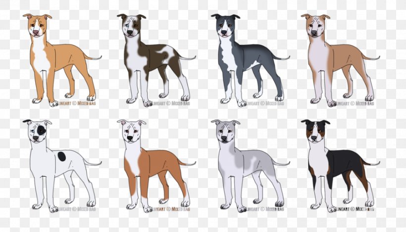 Whippet Italian Greyhound Spanish Greyhound Dog Breed, PNG, 900x515px, Whippet, Animal, Animal Figure, Animal Sports, Breed Download Free