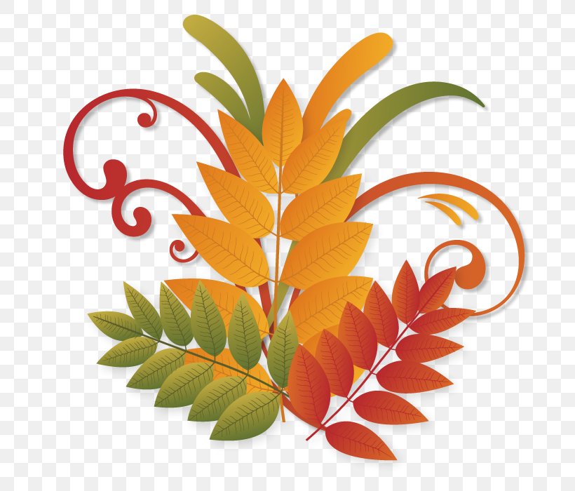 Autumn Liqiu Clip Art, PNG, 700x700px, Autumn, Deciduous, Designer, Fruit, Leaf Download Free