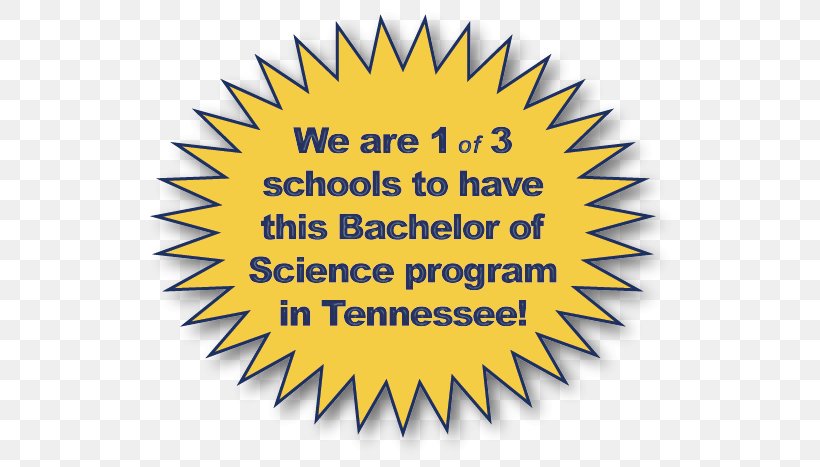Bachelor's Degree Logo Bachelor Of Science Brand School, PNG, 550x467px, Logo, Academic Degree, Area, Bachelor, Bachelor Of Science Download Free