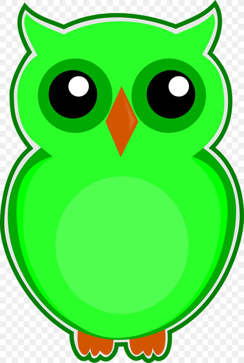 Eksen Dershaneleri Owl Download, PNG, 860x1280px, Eksen Dershaneleri, Amphibian, Artwork, Beak, Bird Download Free