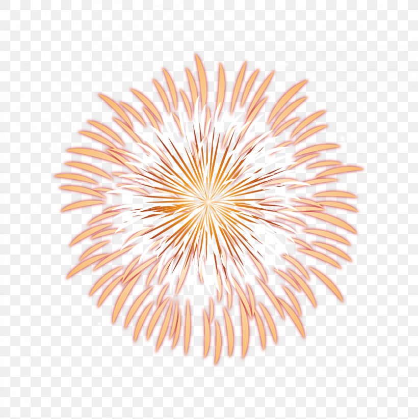 Fireworks Euclidean Vector Computer File, PNG, 1168x1173px, Fireworks, Chinese New Year, Google Images, New Year, Peach Download Free