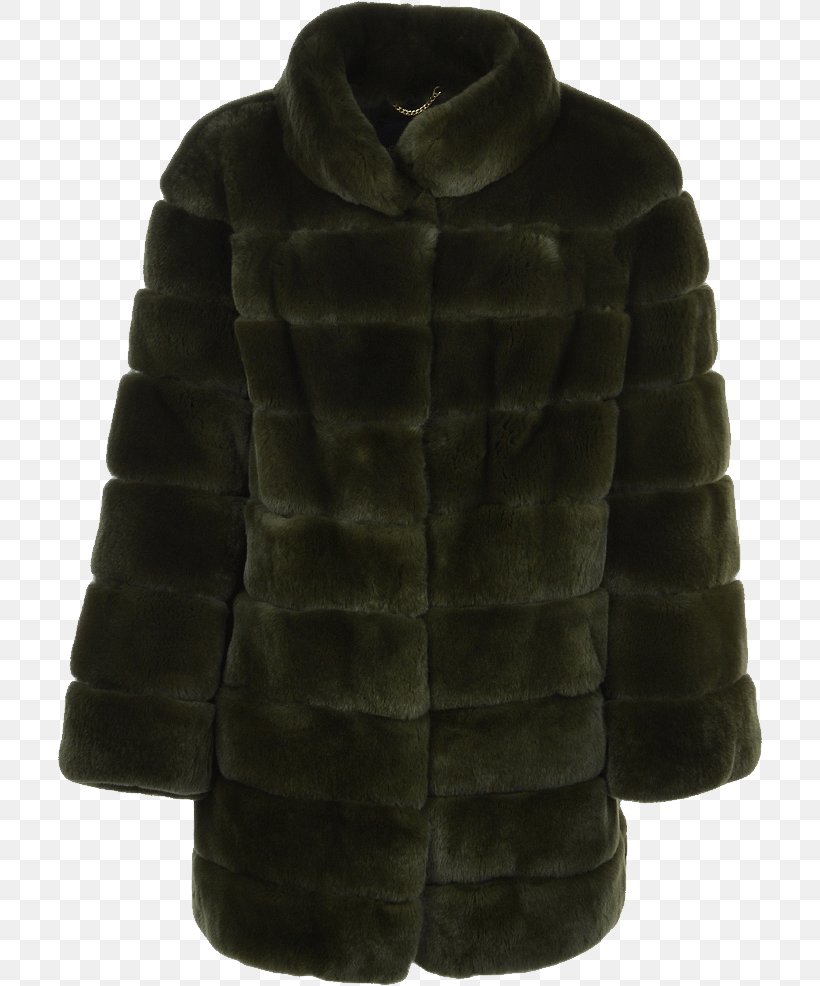 Fur Clothing Coat, PNG, 706x986px, Fur, Clothing, Coat, Digital Image, Fur Clothing Download Free