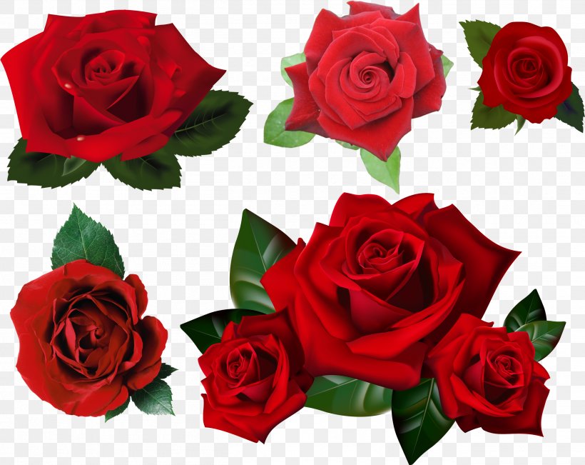 Rose Clip Art Desktop Wallpaper Flower, PNG, 2615x2077px, Rose, Austrian Briar, Blue Rose, Bouquet, Camellia Download Free