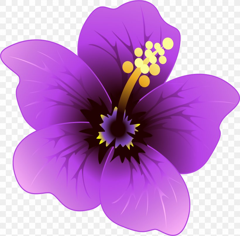 Purple Violet Flower Lilac, PNG, 1729x1699px, Purple, Crocus, Cut Flowers, Flower, Flowering Plant Download Free