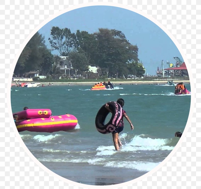 Water Transportation Shore Surfboard Boardsport Leisure, PNG, 772x772px, Water Transportation, Accommodation, Boardsport, Car Park, Clean Download Free