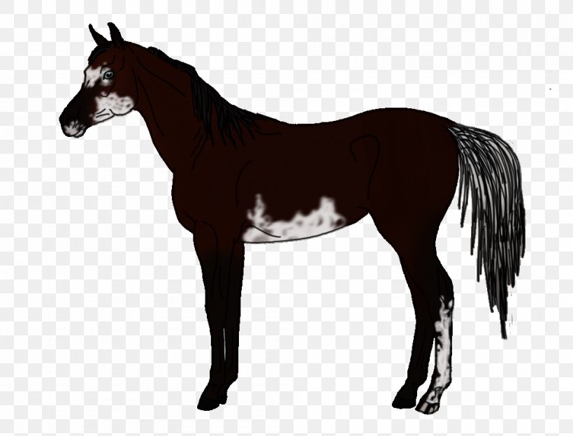 American Quarter Horse Arabian Horse Friesian Horse Thoroughbred Stallion, PNG, 1000x761px, American Quarter Horse, Appaloosa, Arabian Horse, Black, Breed Download Free