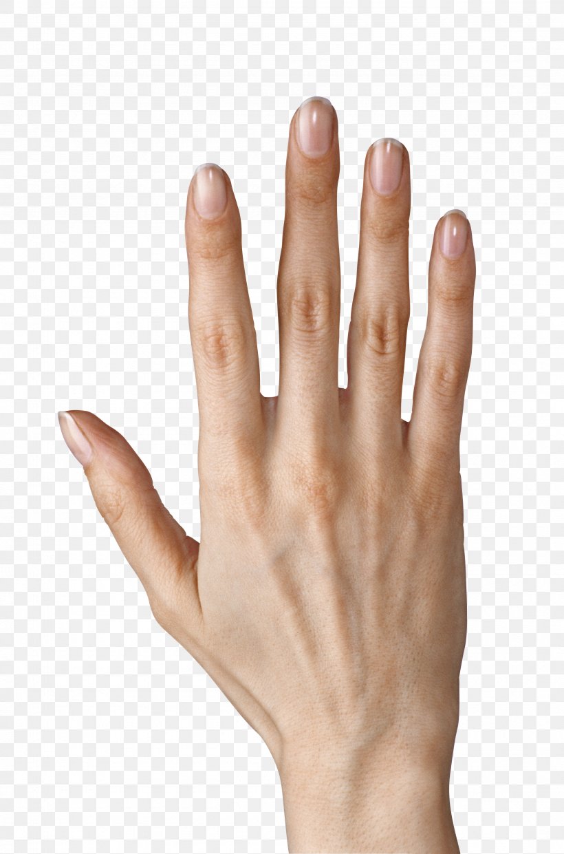 картинки пальцы правой руки